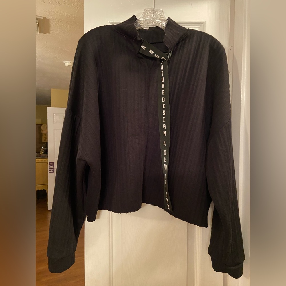 Zara Cropped/Mock Turtleneck